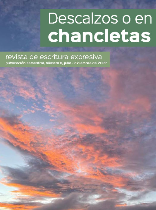 Imagen portada revista Descalzos en Chancletas edición No.8 diciembre 2022