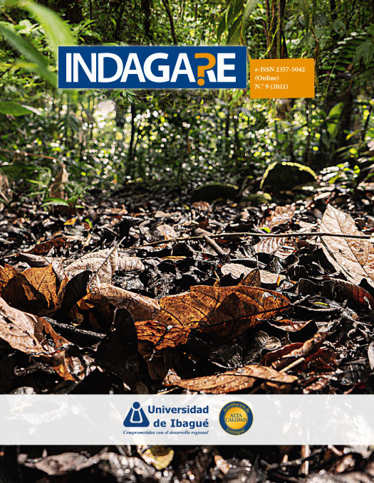 Imagen portada revista Indagare