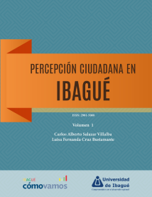 Cover of Percepción ciudadana en Ibagué