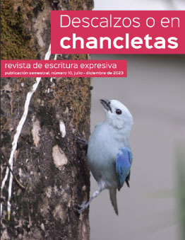 Imagen portada revista Descalzos en Chancletas edición No.8 diciembre 2022